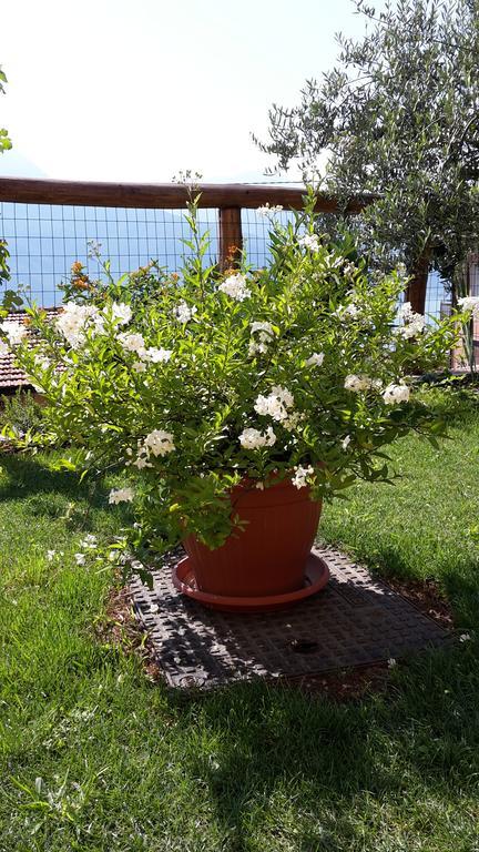Agriturismo Botton D'Oro Донго Экстерьер фото